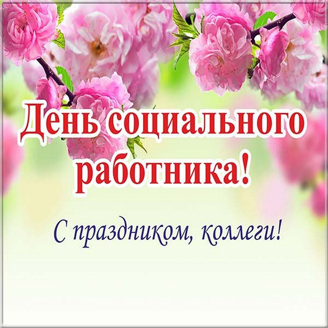 Тосты в День социального работника.
