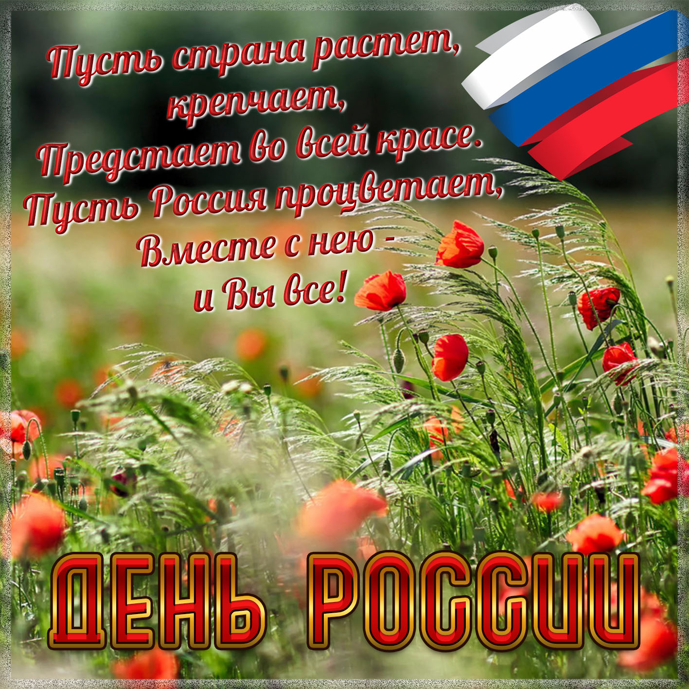 Картинка с красивым пожеланием на День России. Картинка с красивым пожеланием на День России.