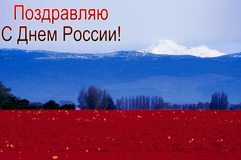 Поздравляю с Днём России, цвета флага. Поздравляю с Днём России, цвета флага.