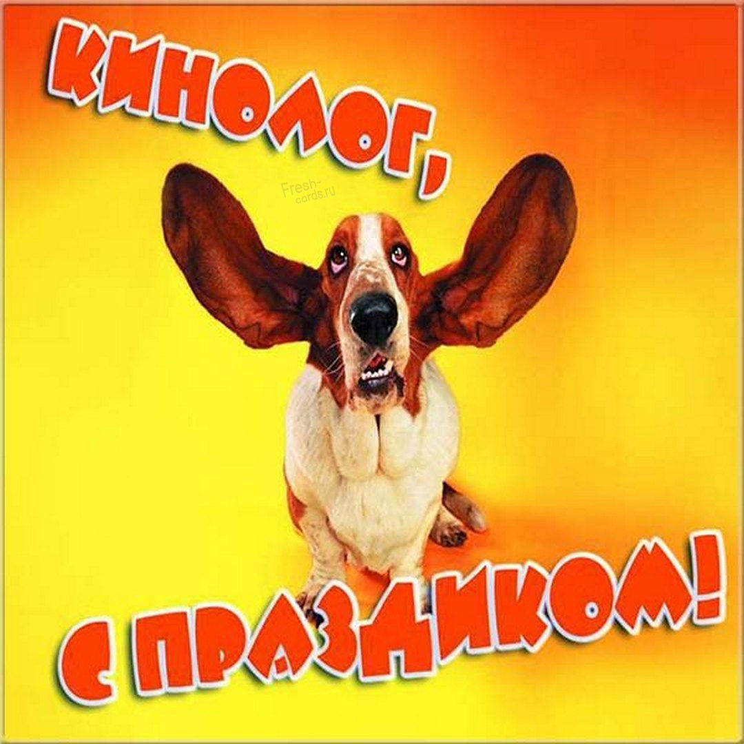 Картинка на день кинолога с поздравлением.