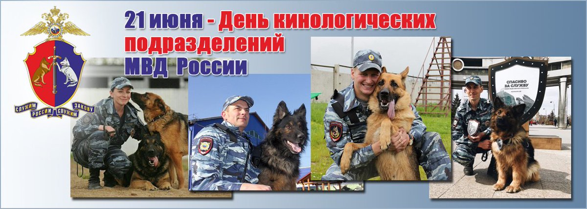 Прикольные картинки с Днем кинолога на 21 июня.