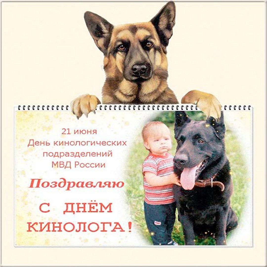 Тематическая открытка с днем кинолога