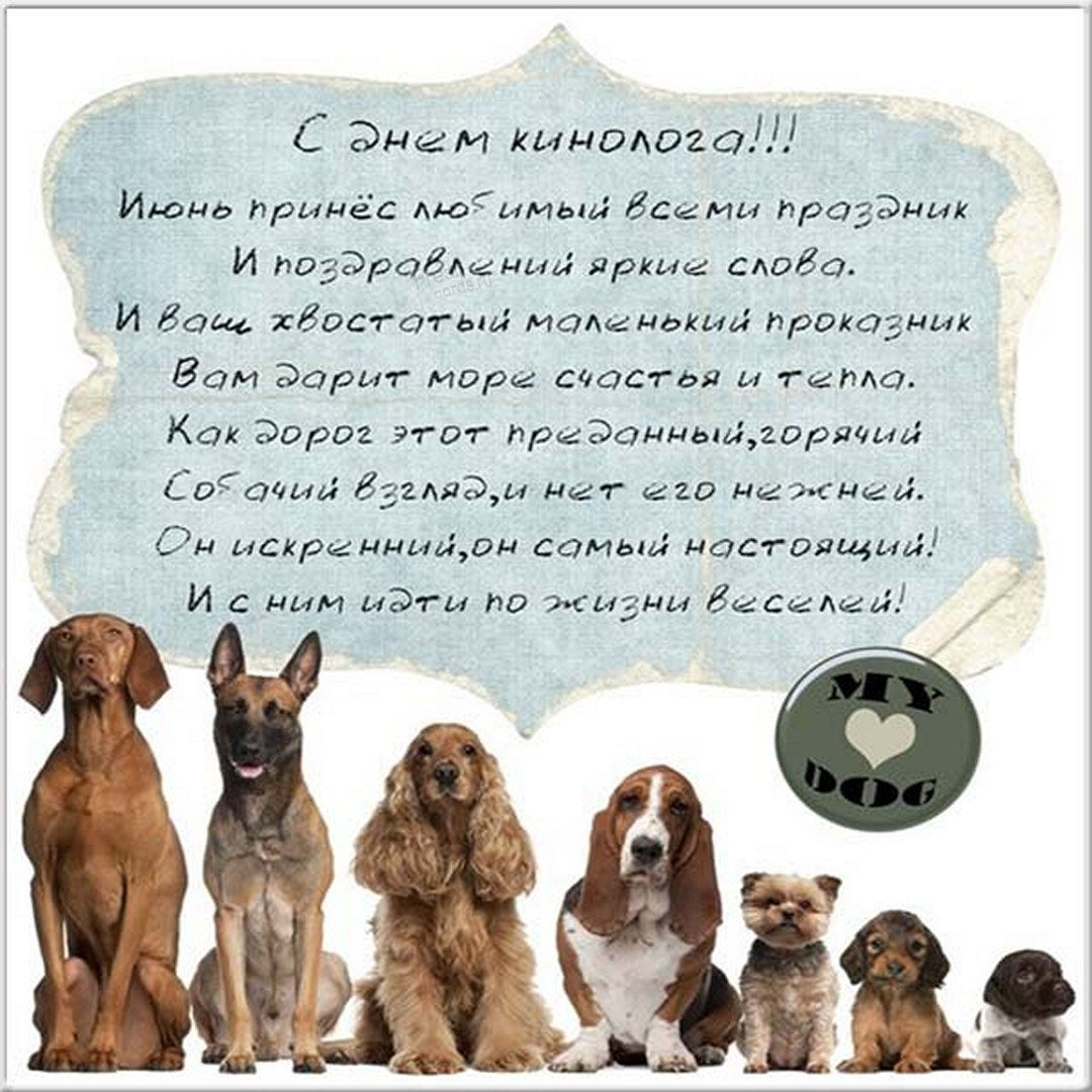 День кинолога поздравления.