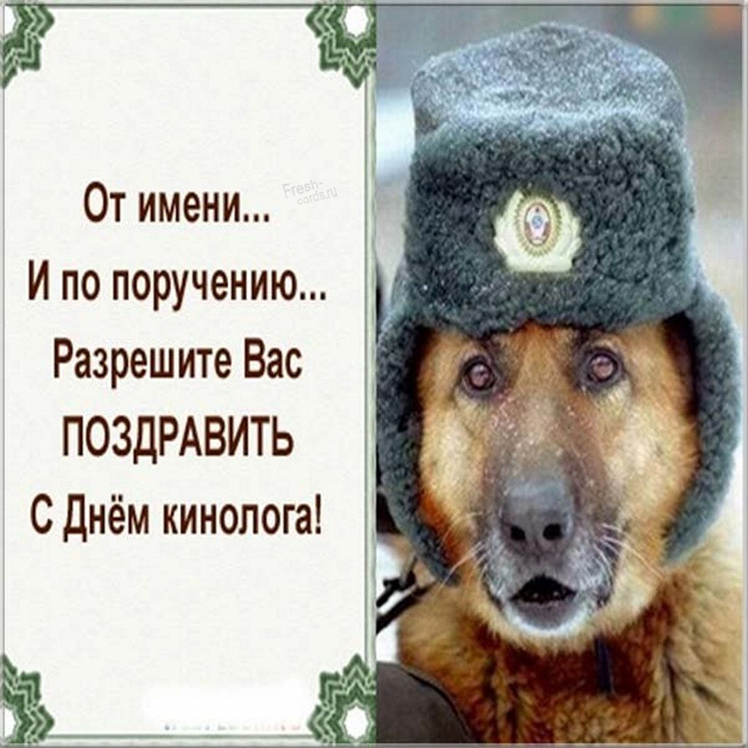 Картинка с днем кинолога в Вайбер или Вацап
