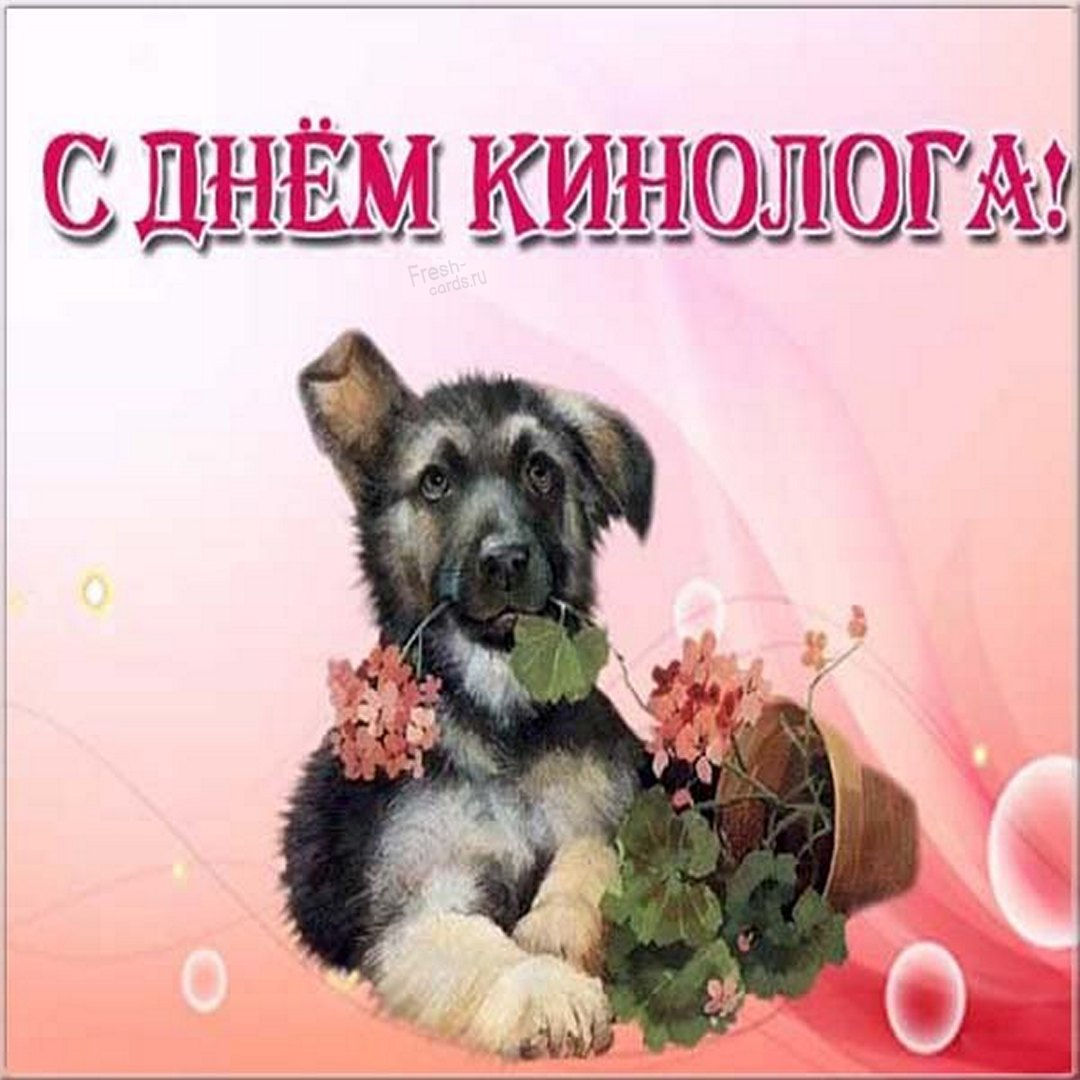 Большая картинка с днем кинолога.