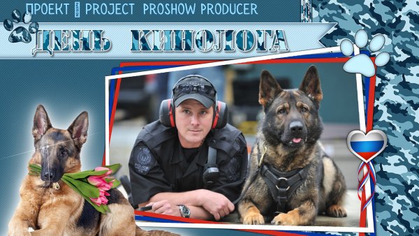 Большая картинка с днем кинолога