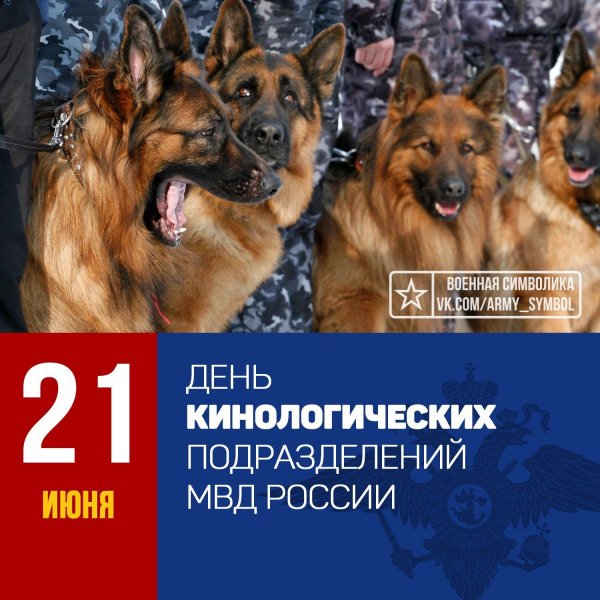 Красивые, прикольные открытки и картинки с днем кинолога! Скачайте или отправьте бесплатно любую открытку.