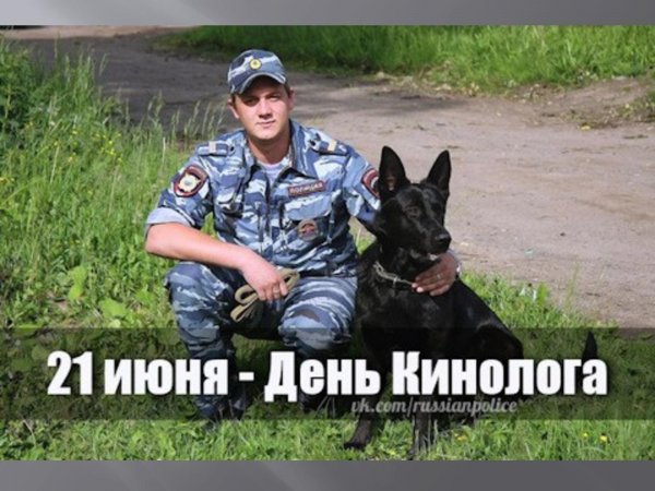 Открытки на День кинолога.