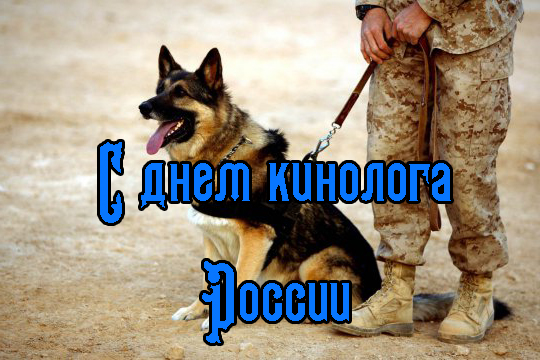 Поздравления с днем кинолога в картинках прикольные.