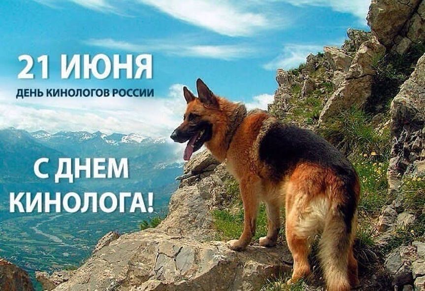 21 Июня день кинолога день кинологических подразделений МВД России.