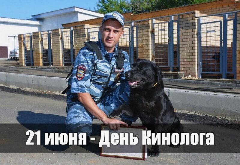 Скачать бесплатно открытку с днем кинолога.
