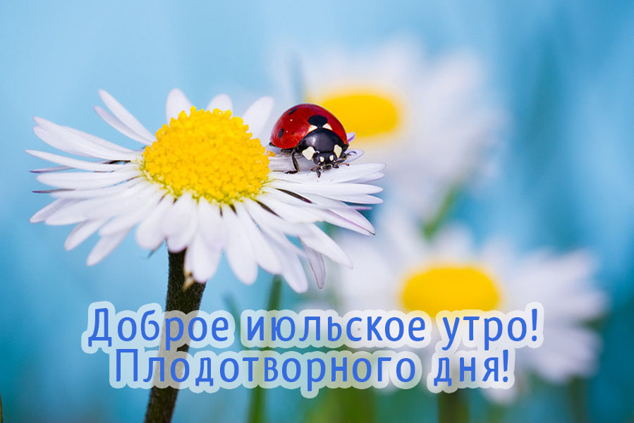 Доброго летнего утра и отличного настроения. Доброго летнего утра и отличного настроения.