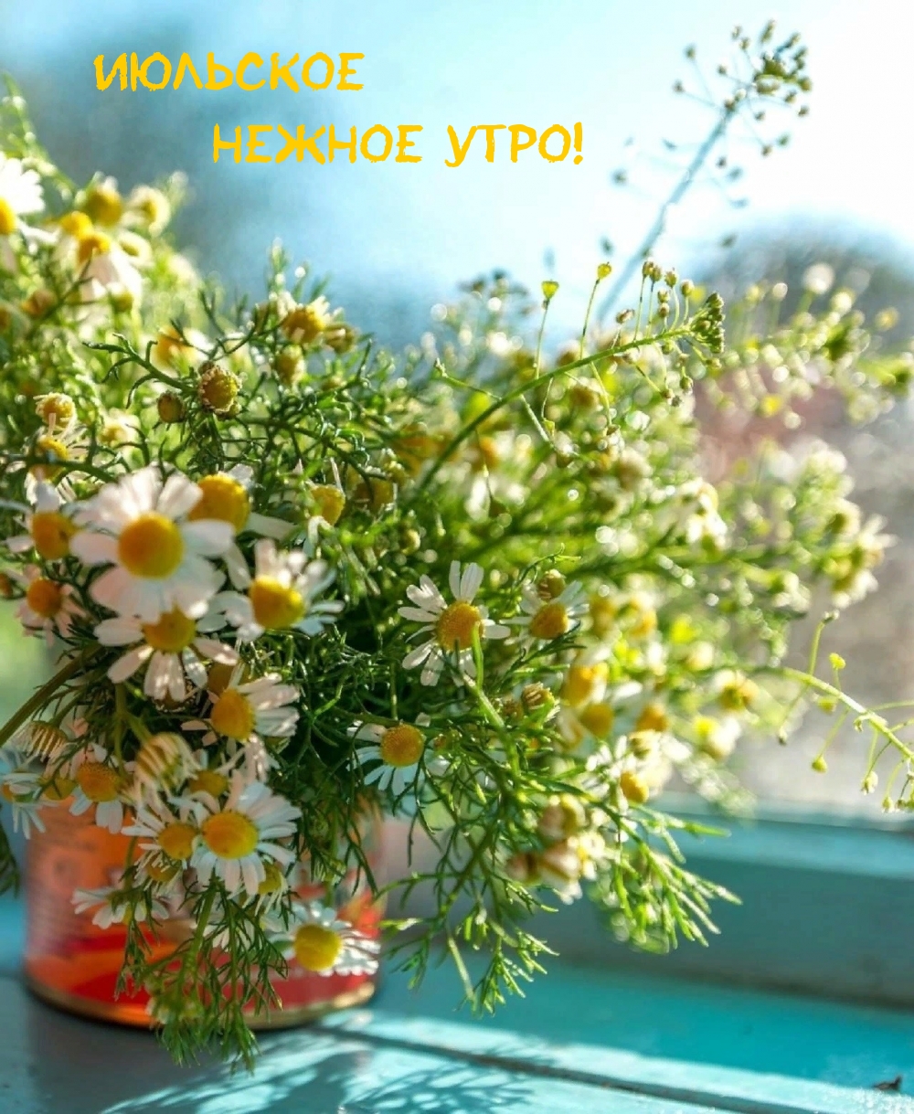 Необычные открытки с добрым утром. Необычные открытки с добрым утром.