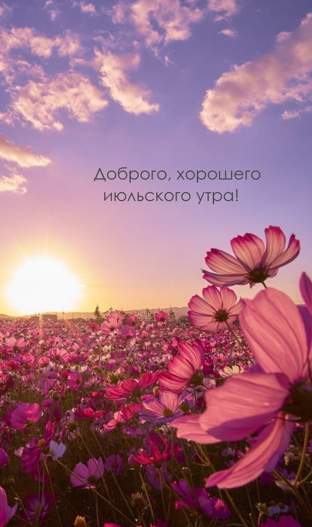 Прикольные картинки с добрым утром Июля. Прикольные картинки с добрым утром Июля.