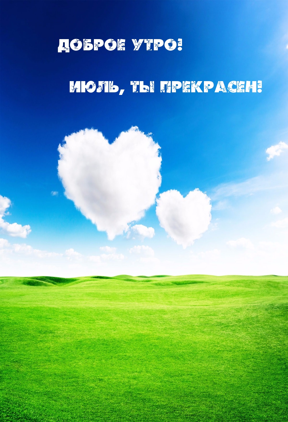 Летнее Июльское утро. Летнее Июльское утро.