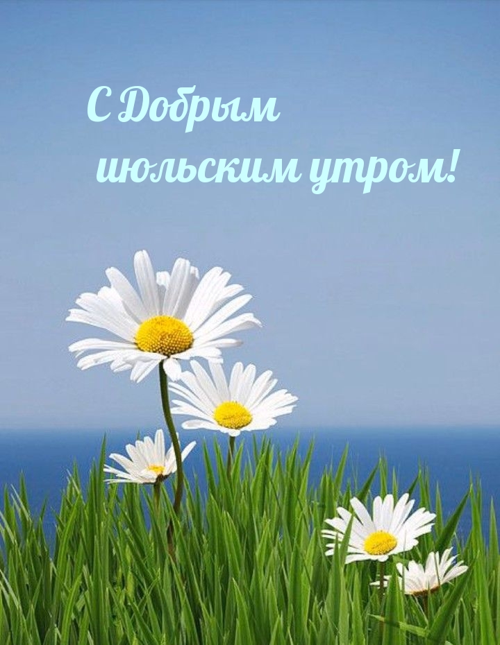 Доброе июльское утро!, Июль, картинка. Доброе июльское утро!, Июль, картинка.