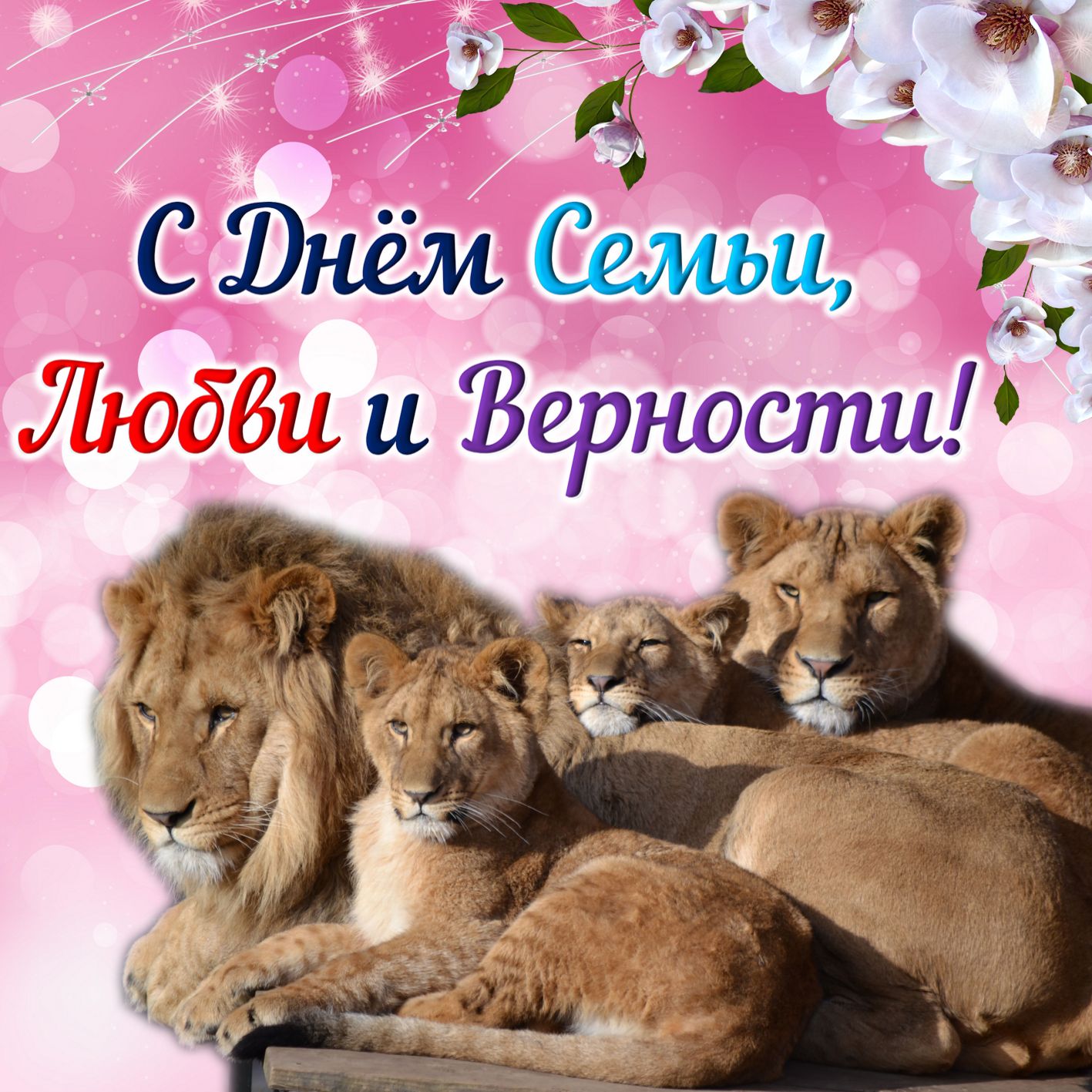Открытка со львами на День семьи.