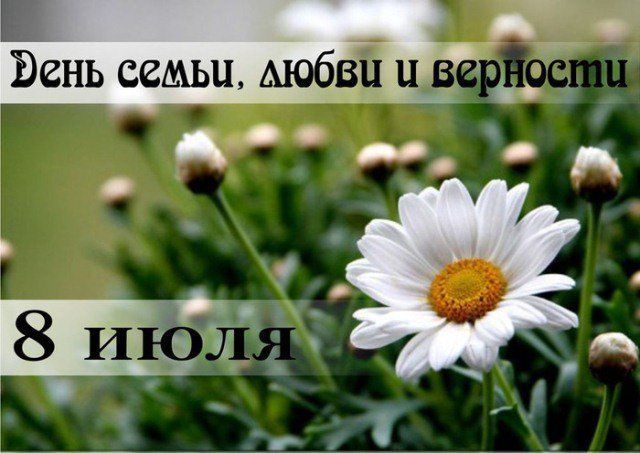 На день семьи, любви и верности