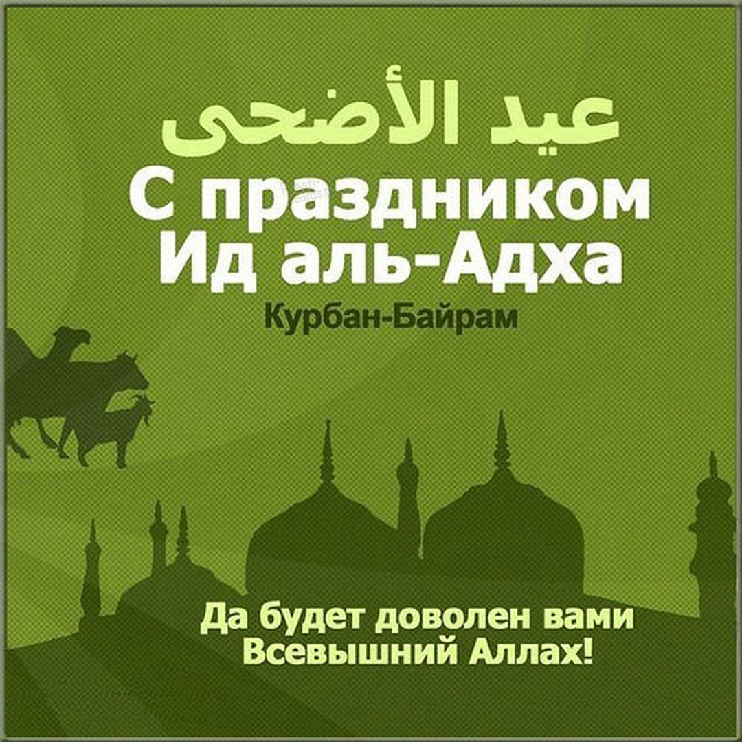 Картинки Курбан Байрам Поздравление Бесплатно.