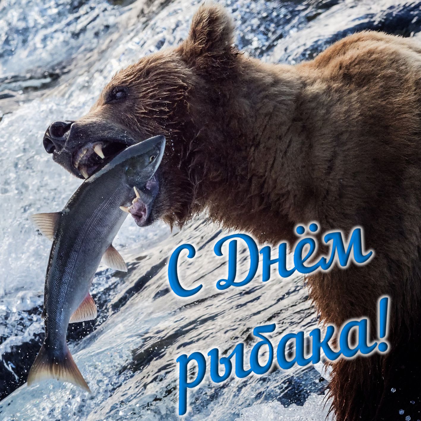 Картинка с медведем на рыбалке.