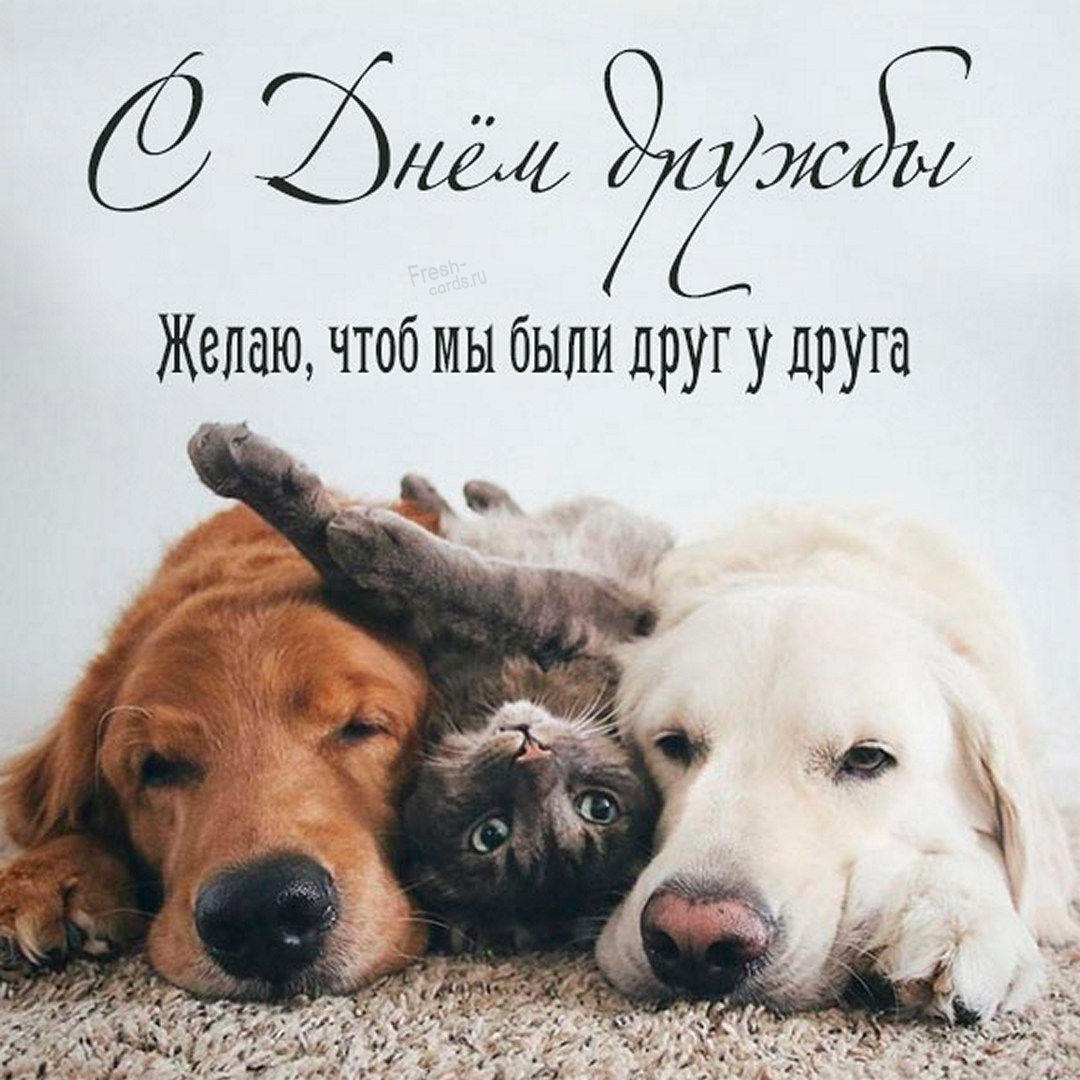 Поздравляем с днем дружбы, картинка.