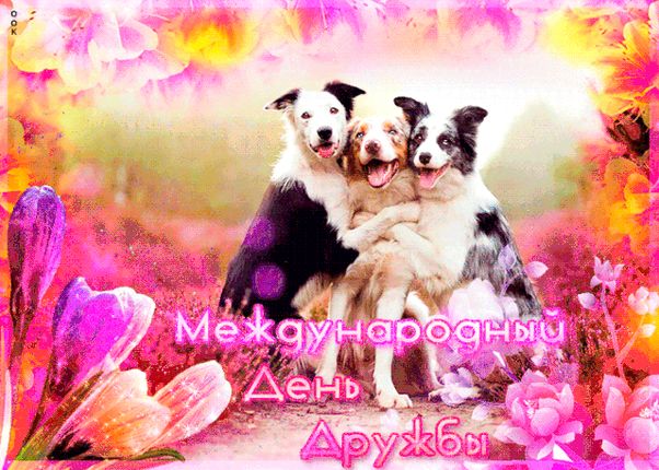 Международный день друзей.