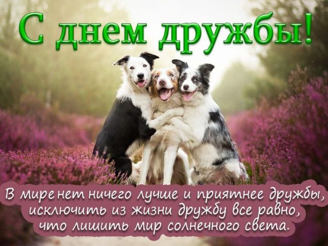 Открытки и картинки в Международный День Друзей.