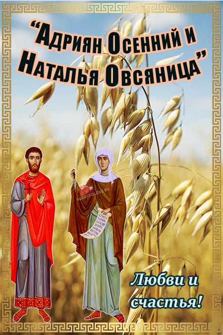 Открытка гиф День Святой Натальи Овсяницы Открытка гиф День Святой Натальи Овсяницы