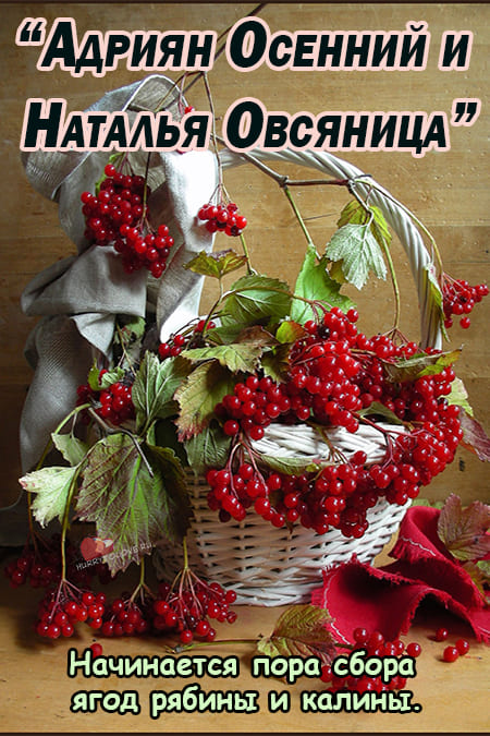 8 сентября День Святой Натальи Овсяницы Поздравление. 8 сентября День Святой Натальи Овсяницы Поздравление.