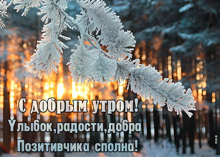 Доброе морозное утро. Зимний лес, Сказочный зимний лес.