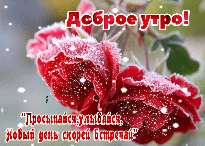 Веселые гифки с добрым утром зимние