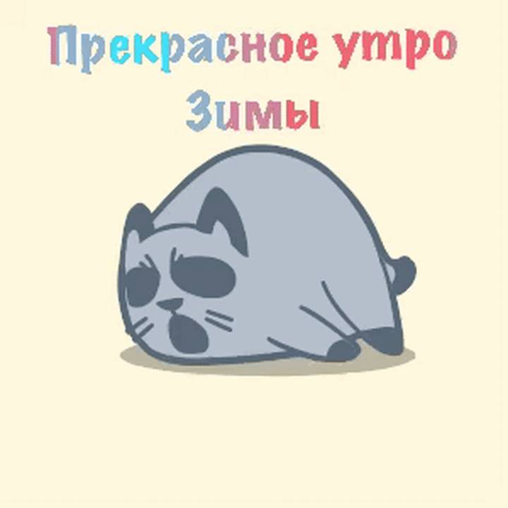 Смешная гифка прекрасное утро зимы с приколом и сонным котом!