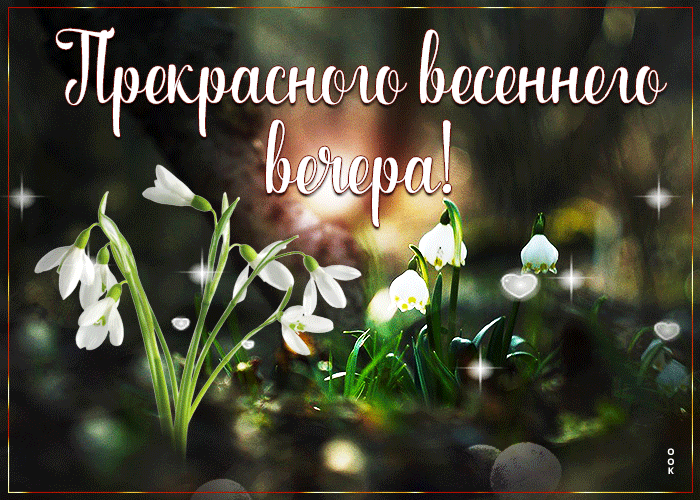 Милая открытка с цветочками Прекрасного весеннего вечера Милая открытка с цветочками Прекрасного весеннего вечера