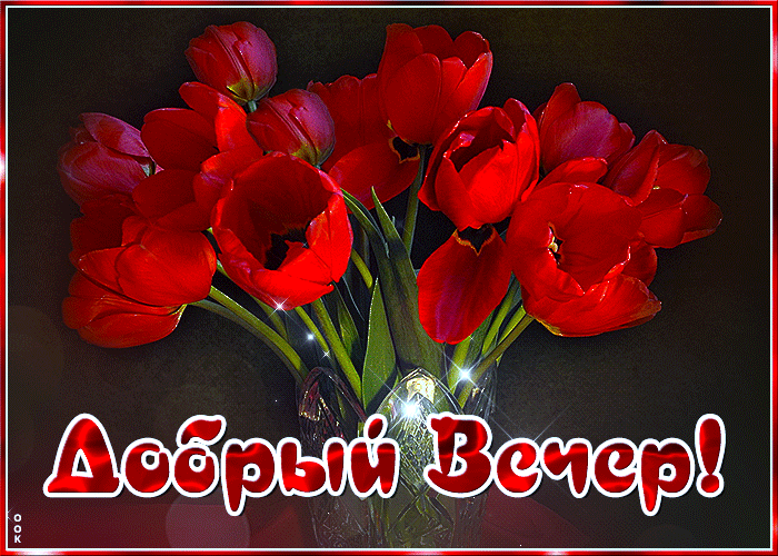 Прелестная открытка Добрый вечер! С букетом тюльпанов Прелестная открытка Добрый вечер! С букетом тюльпанов