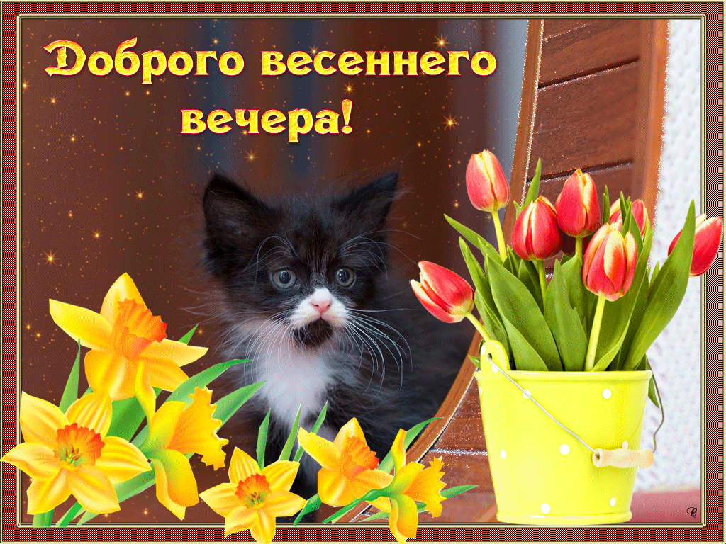 Гифки доброго весеннего вечера. Доброго весеннего вечера, Хорошего весеннего вечера, Пожелание доброго предвесеннего вечера. Гифки доброго весеннего вечера. Доброго весеннего вечера, Хорошего весеннего вечера, Пожелание доброго предвесеннего вечера.