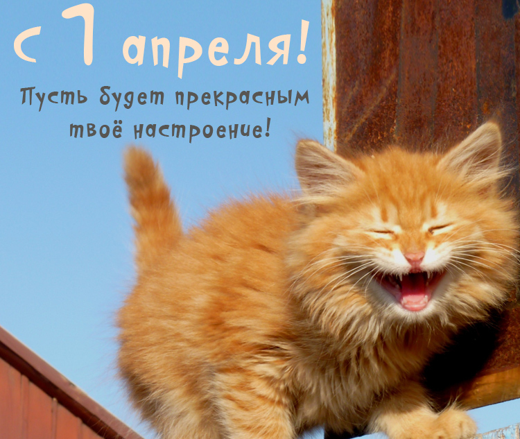 1 апреля - день смеха, картинки прикольные и смешные. 