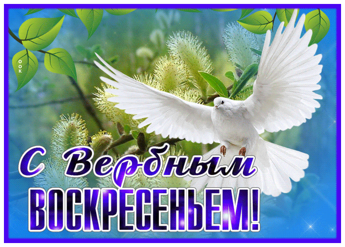 Я от всей души вас поздравляю с Вербным Воскресеньем 