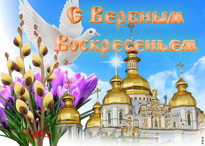Картинка с Вербным Воскресеньем с голубем