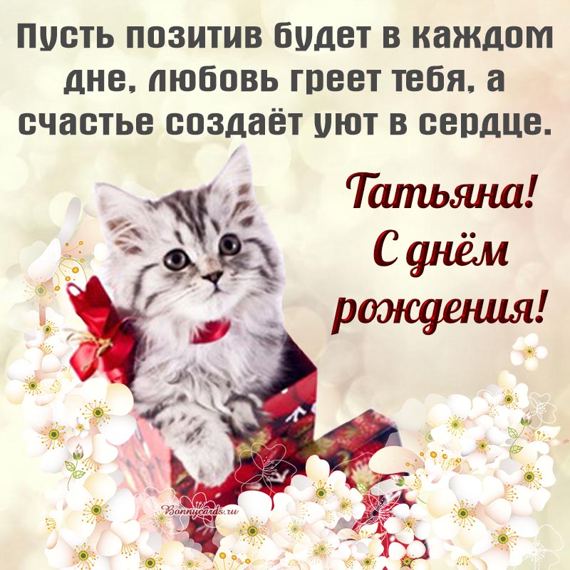 Хостинг картинок yapx.ru