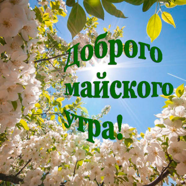 Картинки доброе майское утро Картинки доброе майское утро