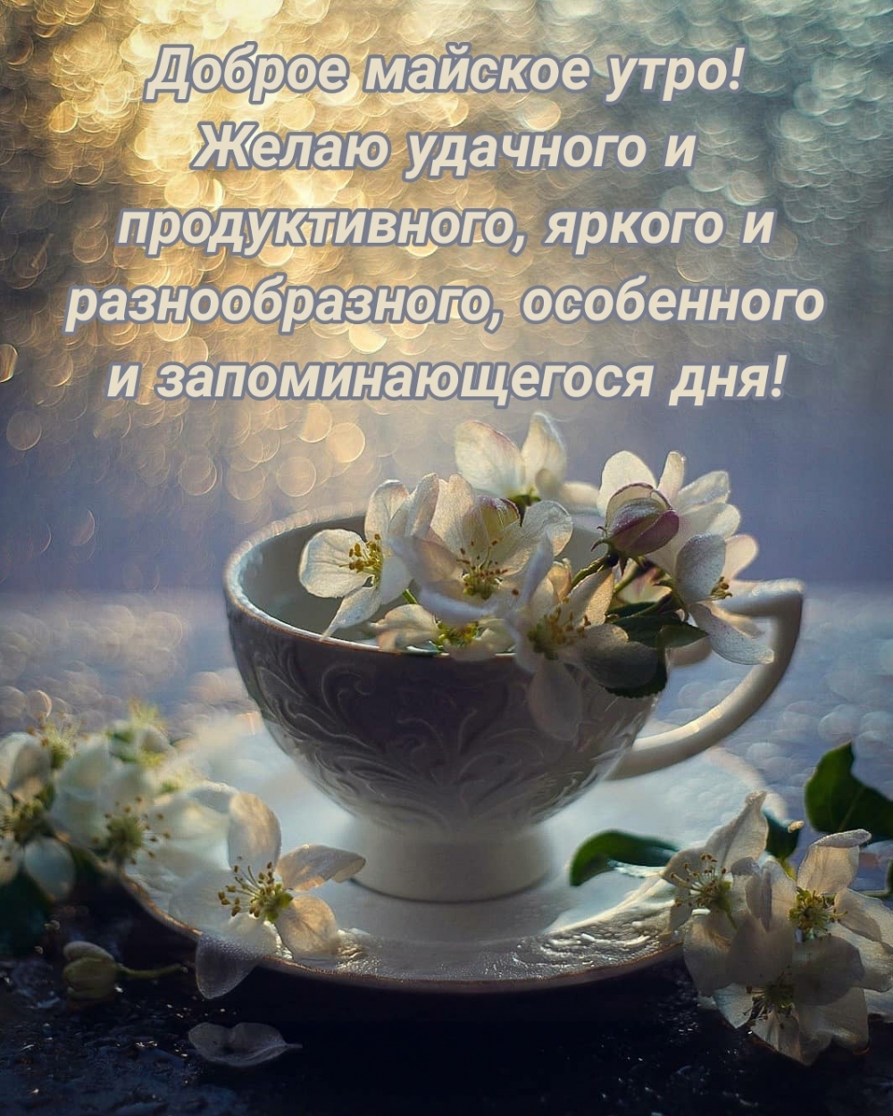 Всех с добрым утром! Всех с добрым утром!