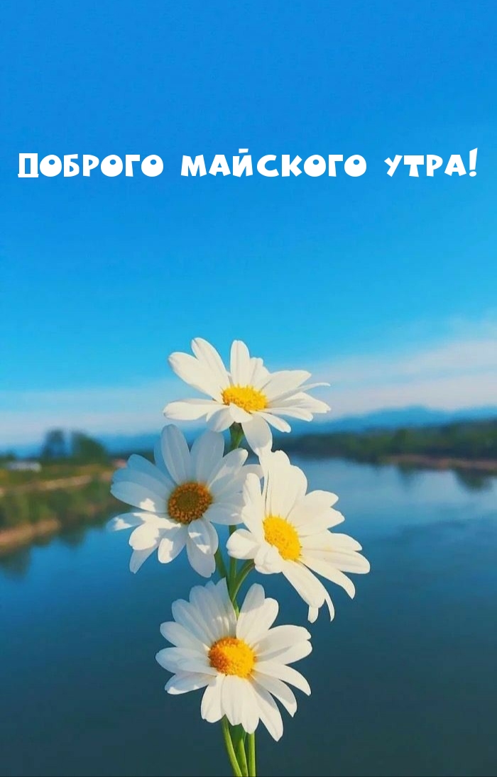 Пожелания с добрым майским утром. Пожелания с добрым майским утром.