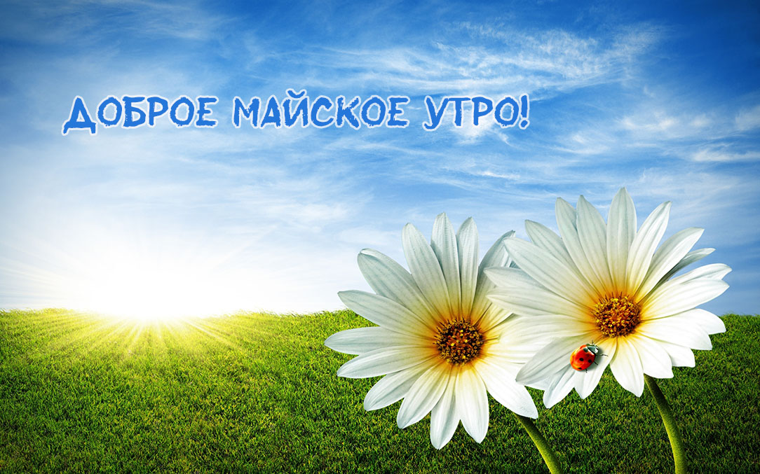 Доброе утро! Доброе утро!