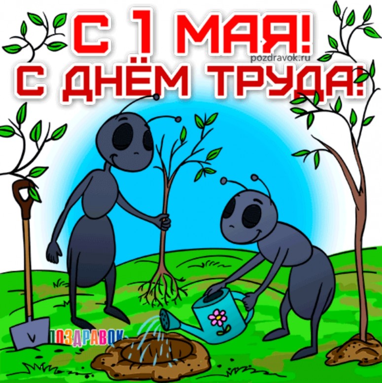 Первое мая приколы