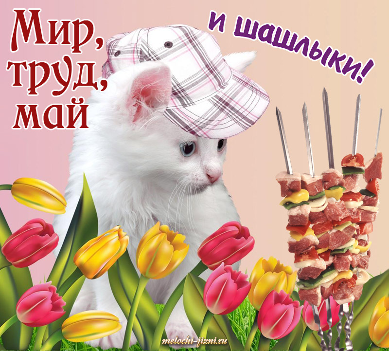 Открытки с 1 мая прикольные