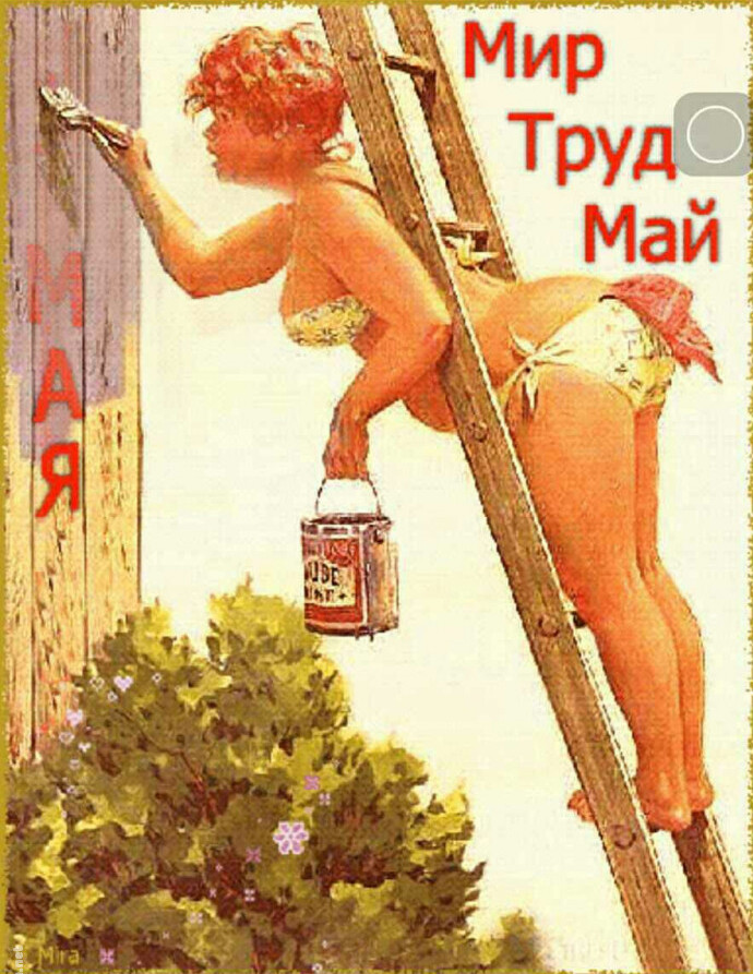 Самые смешные картинки с надписями про 1 мая.