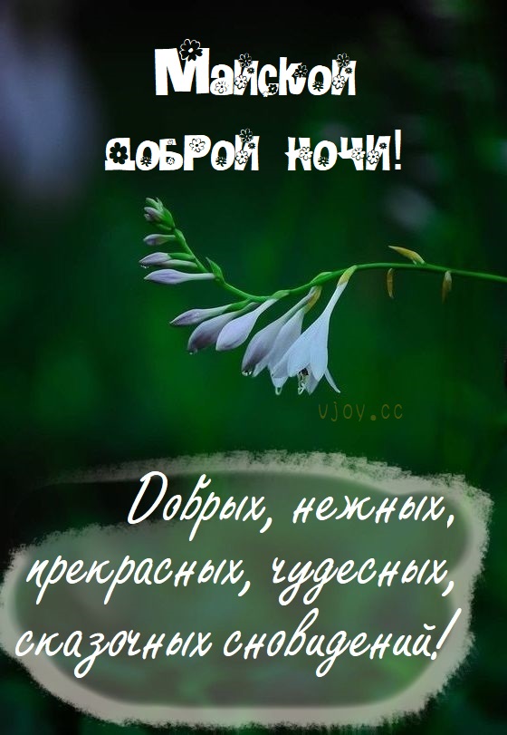 На этой странице вы найдете Пожелания спокойной Майской ночи которые можно скачать совершенно бесплатно.