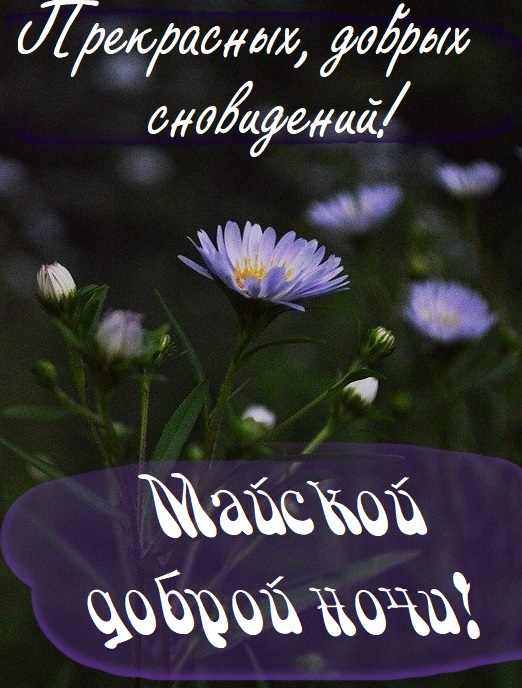 Пожелания спокойной Майской ночи.