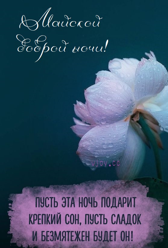 Сказать «Спокойной ночи!» — банально и слишком просто.