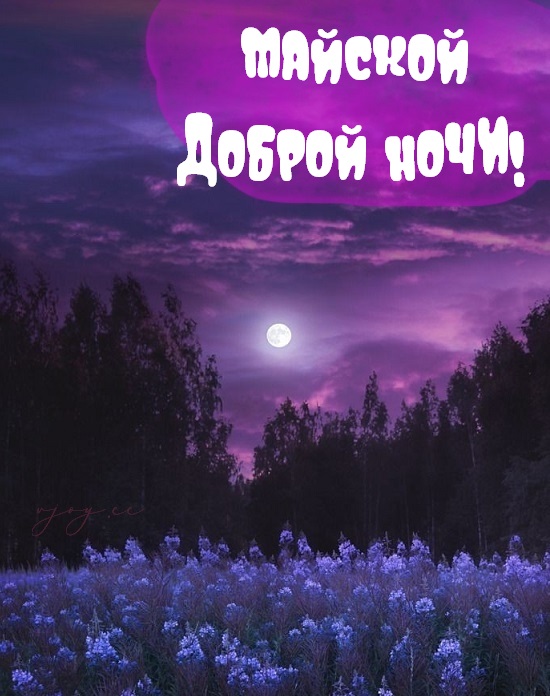Спокойной ночи и сладких снов, мой мужчина.